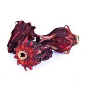 Heirloom Rossella seeds hibiscus family